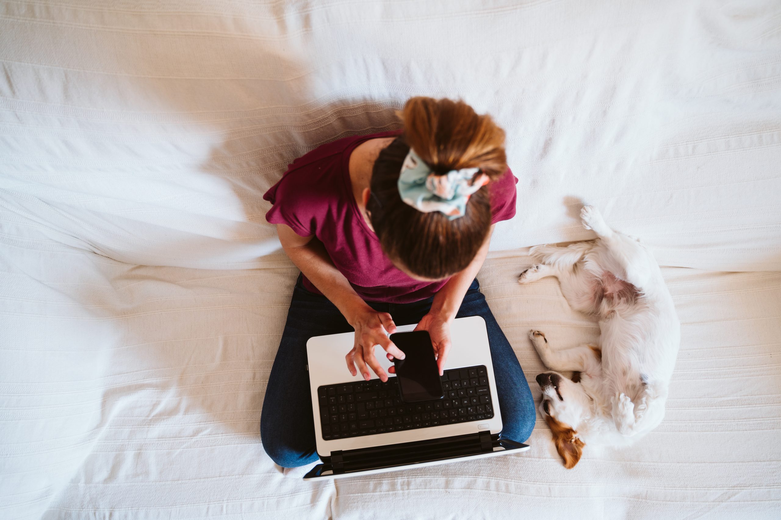 Post-Visit Follow-Up Review: Vet Instructions, Home Plan, and Monitoring Checklist