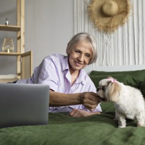 Senior Dog Comfort Plan: Mobility, Home Setup, and Daily Monitoring