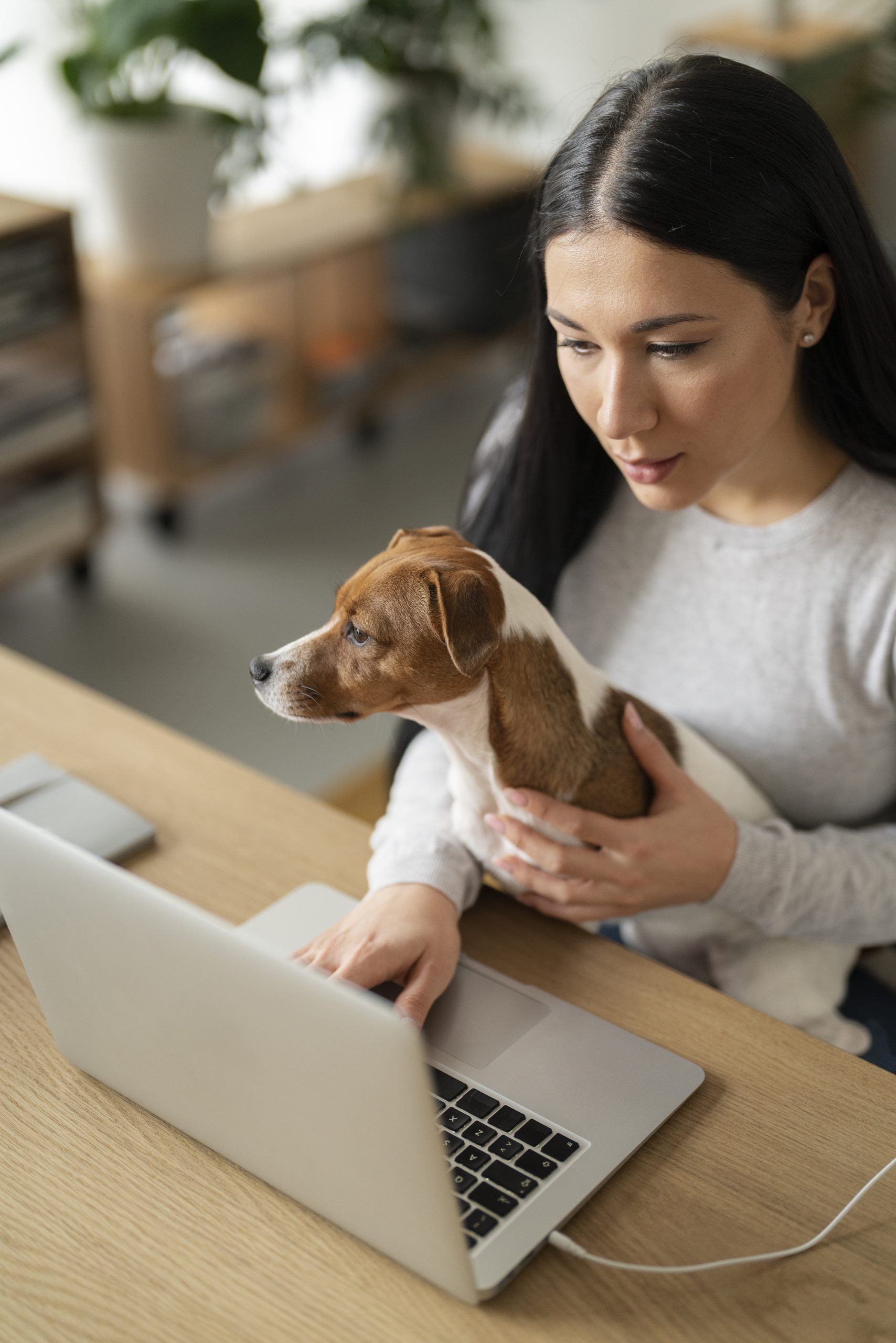 Coat, Skin & Grooming Guidance: Home Care Plan and Product Selection